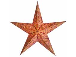 Zeige Details für starlightz devi apricot Bild von starlightz devi apricot
