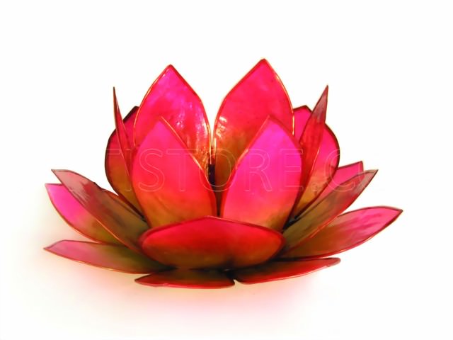 Bild von Teelicht Lotus-Licht Sonnenaufgang grün-pink